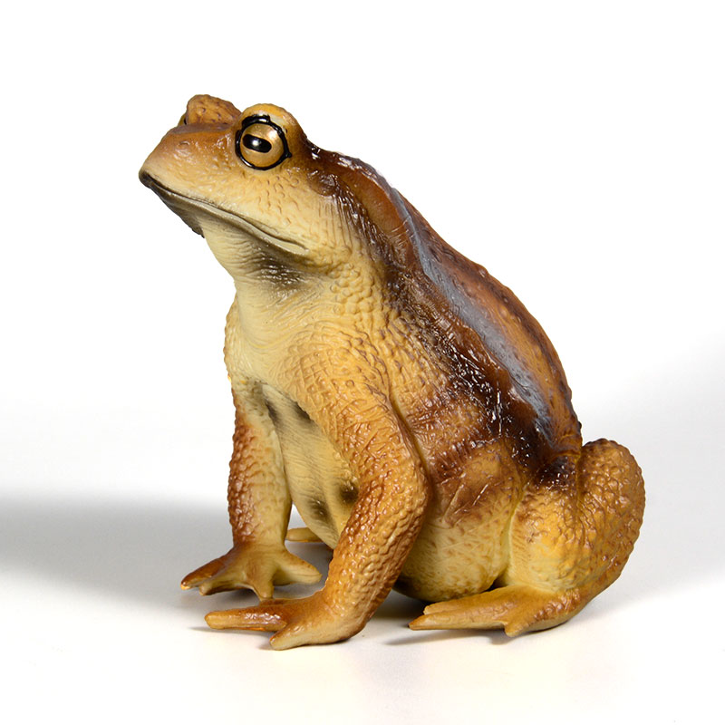 Figurine de grenouille amphibi - Kids First Education avis et prix