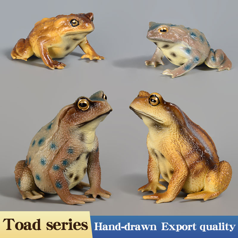 Figurine de grenouille amphibi - Kids First Education avis et prix