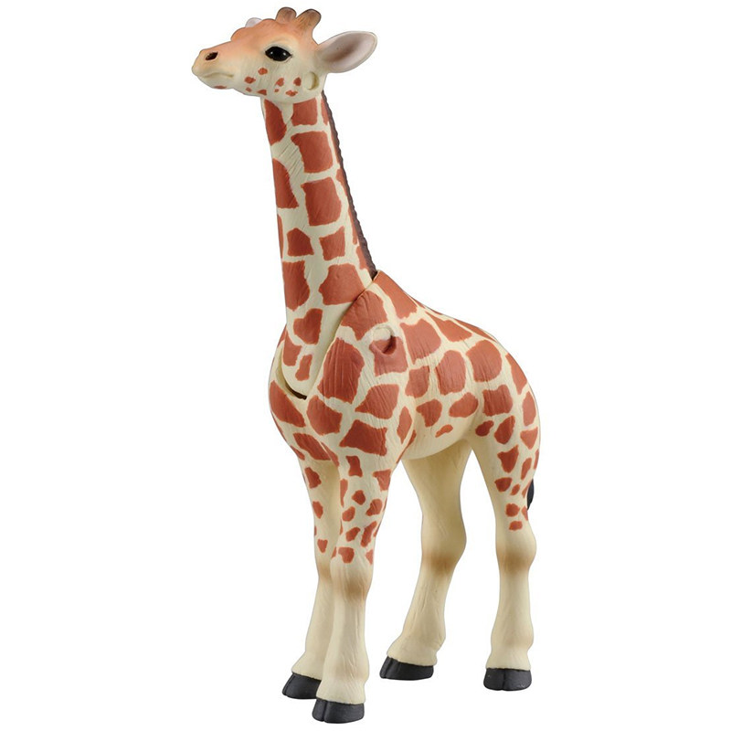 Figurine originale Takara Tomy - Kids First Education avis et prix