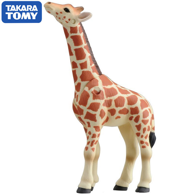 Figurine originale Takara Tomy - Kids First Education avis et prix